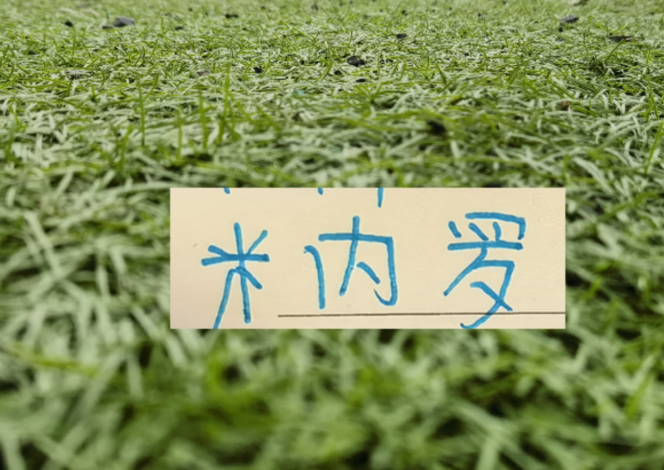 马纳法五月比赛报销！